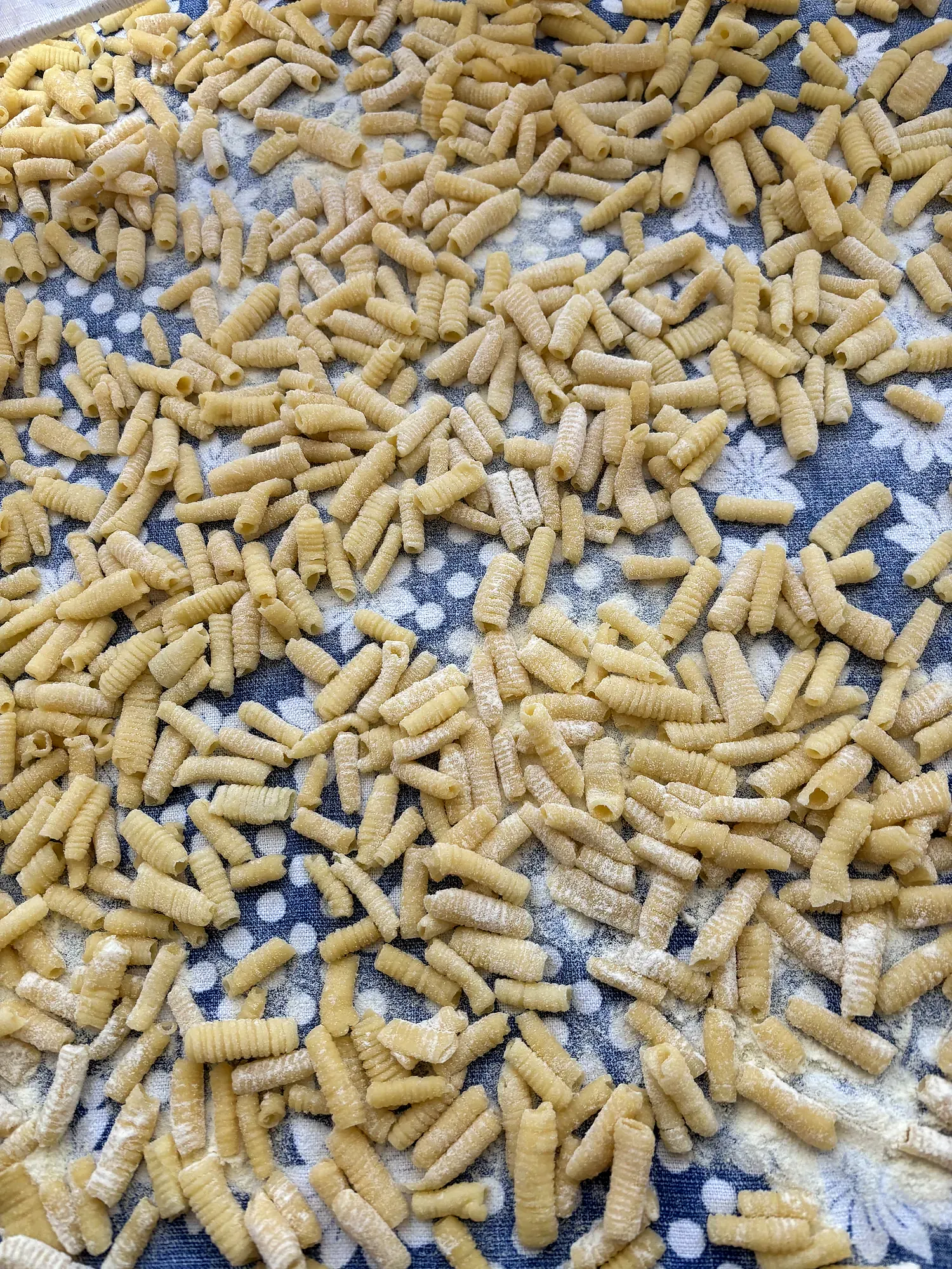 La pasta fresca pronta per il convivio